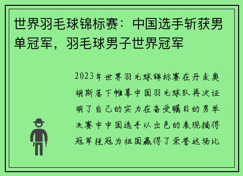 世界羽毛球锦标赛：中国选手斩获男单冠军，羽毛球男子世界冠军